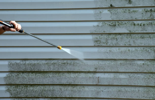 Best Local Pressure Washing Services  in Olympia, WA