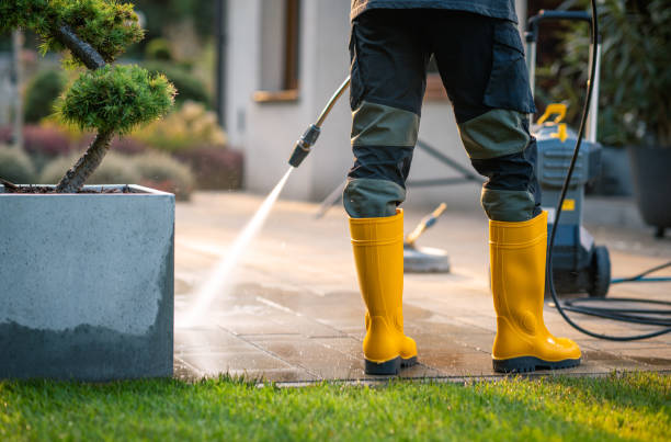 Best Pressure Washing Contractors  in Olympia, WA